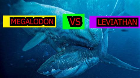 megalodon vs leviathan|Iba pa.